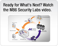 About Security Labs