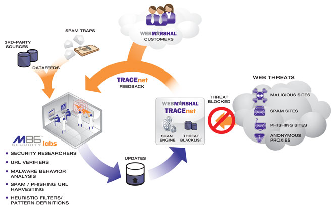 TRACEnet Diagram